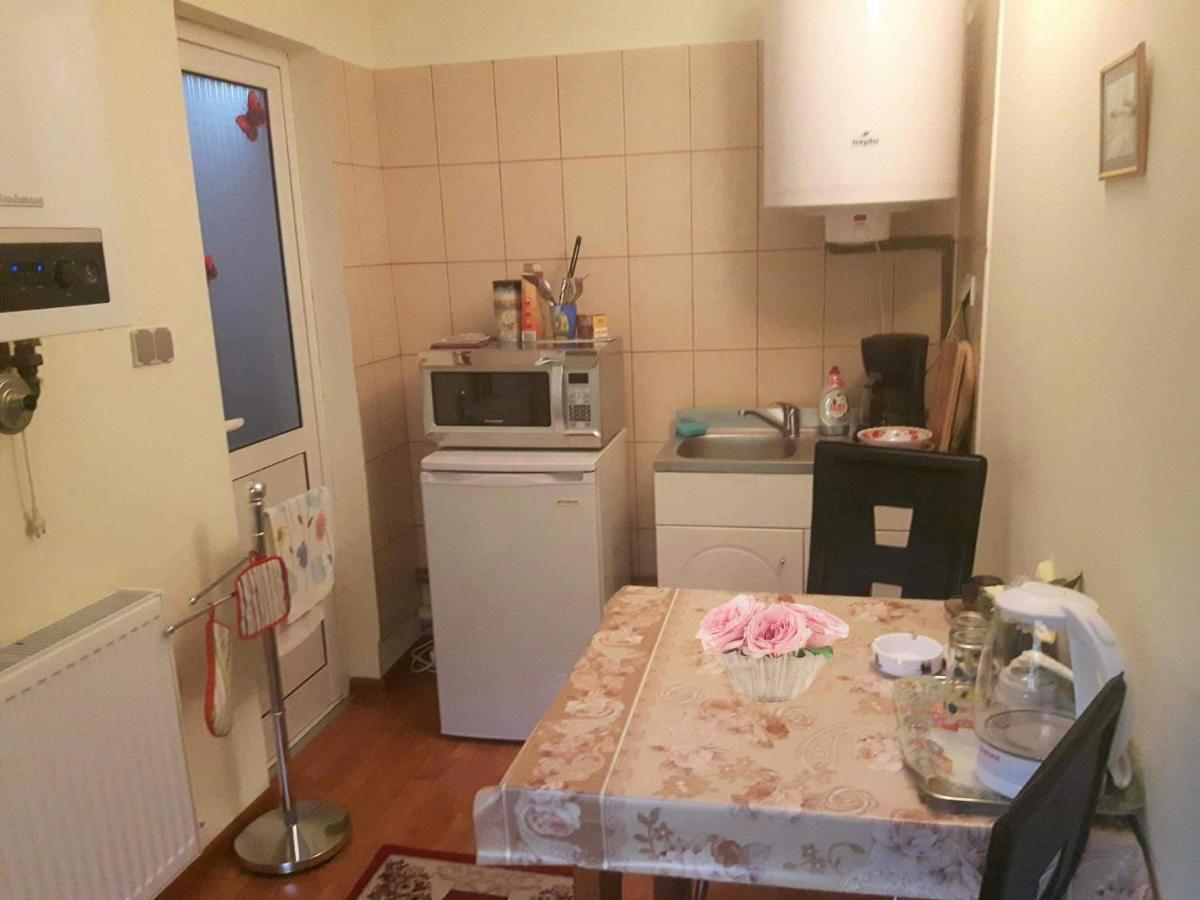 Harmonia Studio Apartment Brasov Exterior photo